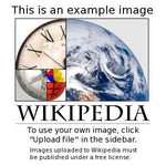 Load image into Gallery viewer, Phase 1.2 bulk create image
